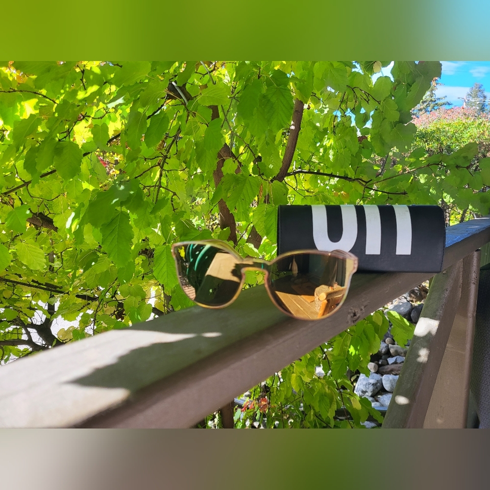 Seen sunglasses